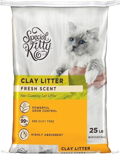 Special Kitty Non-Clumping Clay Cat Litter