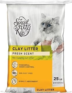 Special Kitty Non-Clumping Clay Cat Litter