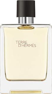 Hermes Terre D'Hermes Eau De Toilette Spray 100ml/3.4oz