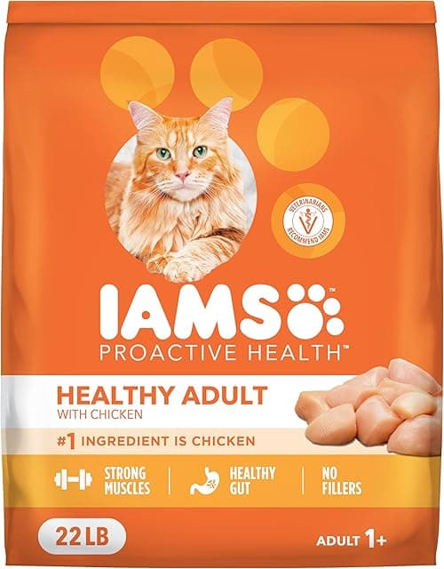 IAMS Proactive Health Dry Cat Food for Adults