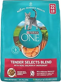 Purina ONE Natural Dry Cat Food
