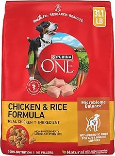Purina ONE Chicken and Rice Formula Dry Dog Food - 31.1 lb.…